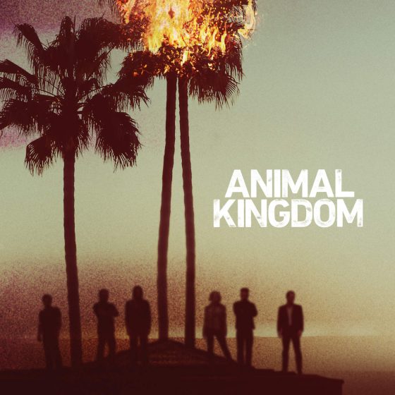 Animal Kingdom, Season 1